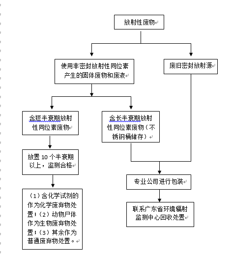 放射性废物处置流程